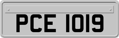 PCE1019