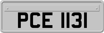 PCE1131