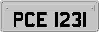 PCE1231