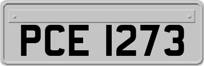 PCE1273