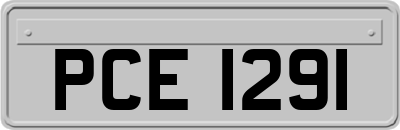 PCE1291