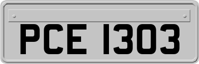 PCE1303