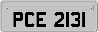 PCE2131