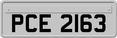 PCE2163