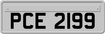 PCE2199