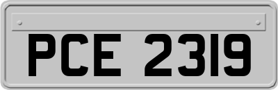 PCE2319