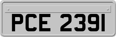 PCE2391