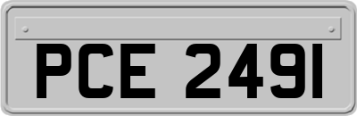 PCE2491