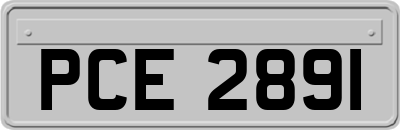 PCE2891