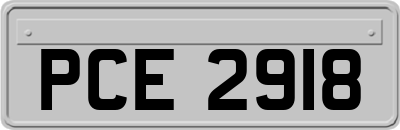 PCE2918