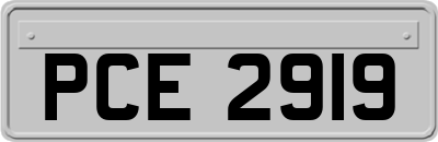 PCE2919