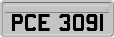 PCE3091
