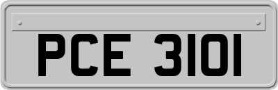 PCE3101