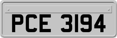 PCE3194