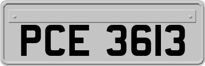 PCE3613