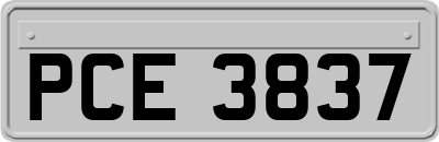 PCE3837