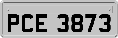 PCE3873