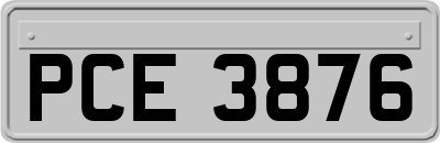 PCE3876