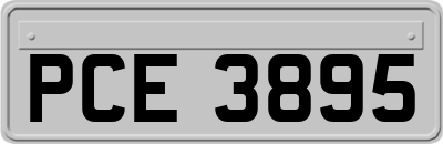 PCE3895