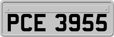 PCE3955
