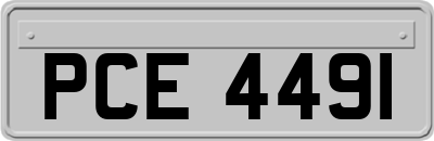 PCE4491
