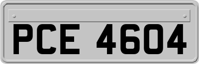 PCE4604