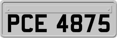 PCE4875