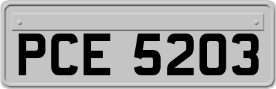 PCE5203