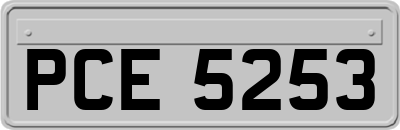 PCE5253