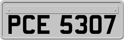 PCE5307