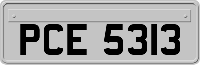 PCE5313