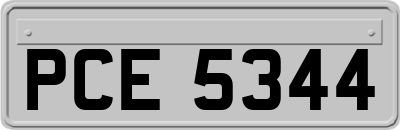 PCE5344