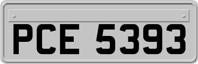 PCE5393