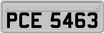 PCE5463