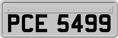 PCE5499