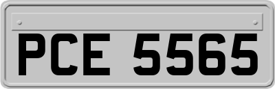 PCE5565