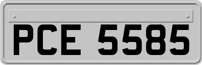 PCE5585