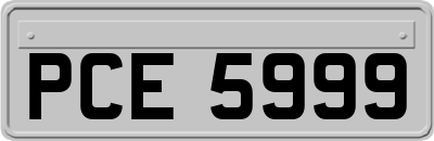 PCE5999