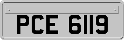 PCE6119
