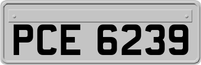 PCE6239
