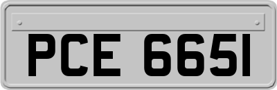 PCE6651