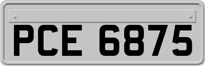 PCE6875