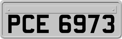 PCE6973
