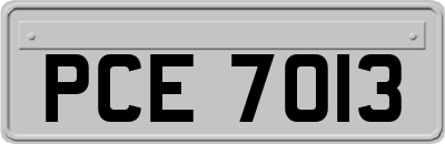 PCE7013