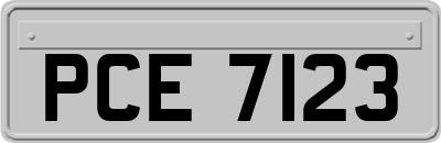 PCE7123