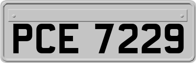 PCE7229