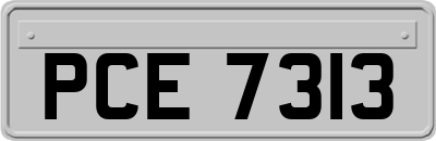 PCE7313