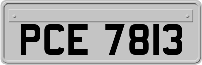 PCE7813