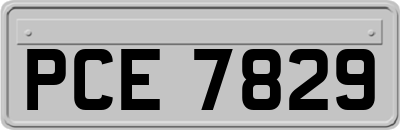 PCE7829