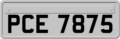 PCE7875